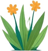 a flower with the words the flower.jpg